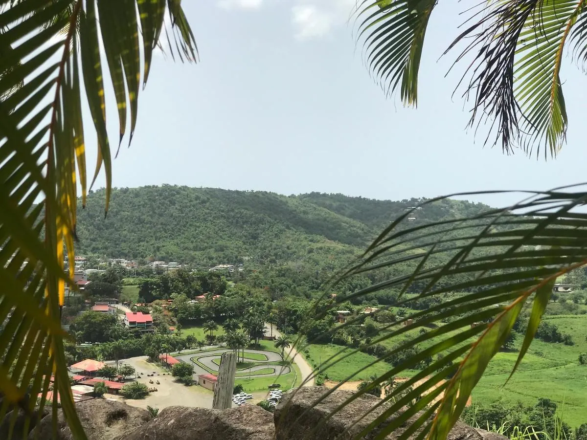 *** 酒店 Rainforest And Ocean View Suites - Mountain Lodge 卢基约 波多黎各