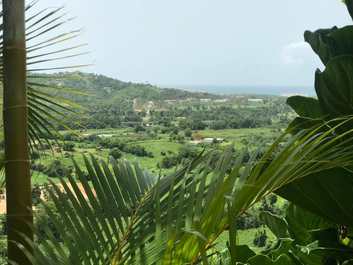 Rainforest And Ocean View Suites - Mountain Lodge 卢基约