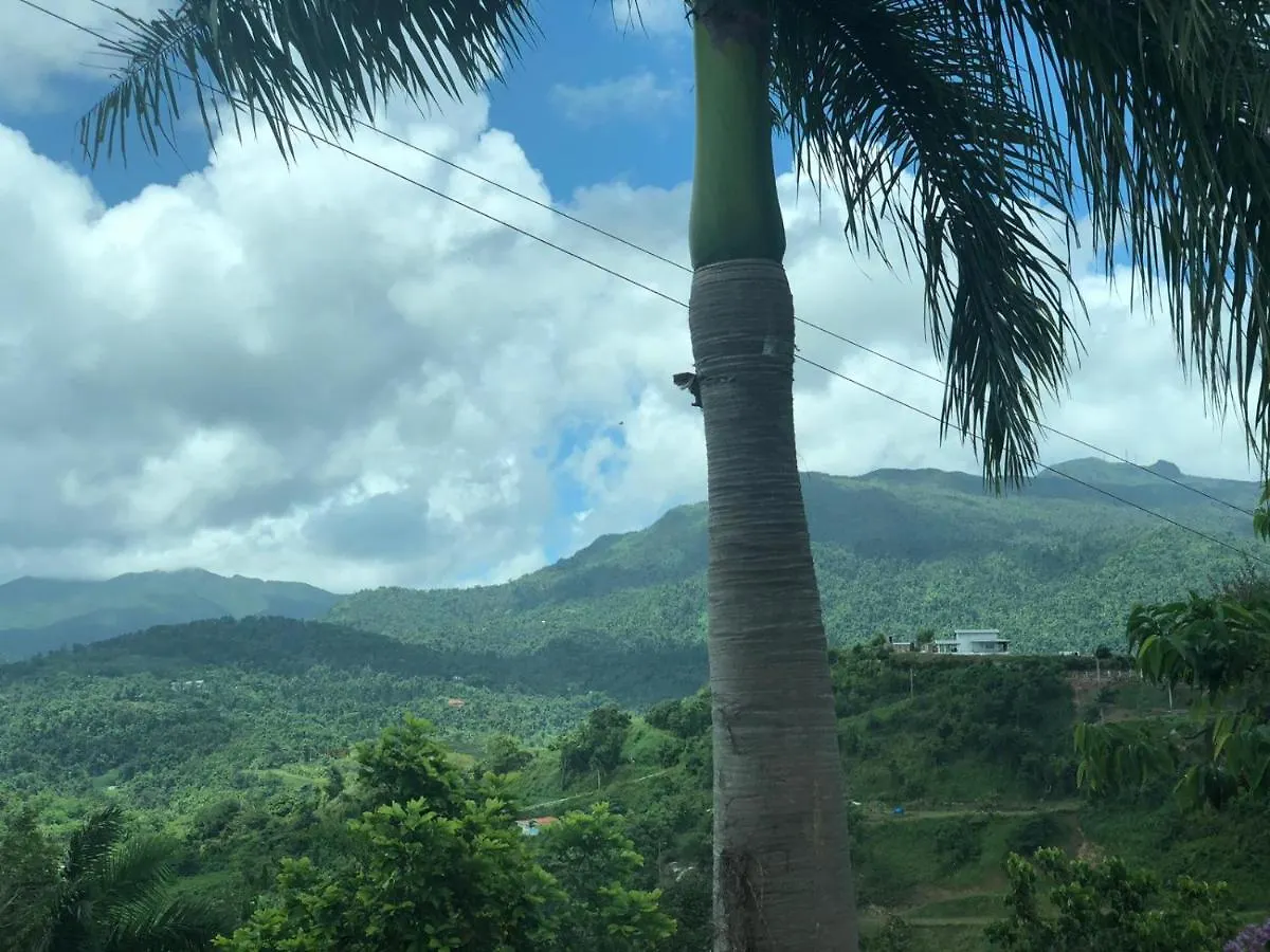 Rainforest And Ocean View Suites - Mountain Lodge 卢基约 3*,