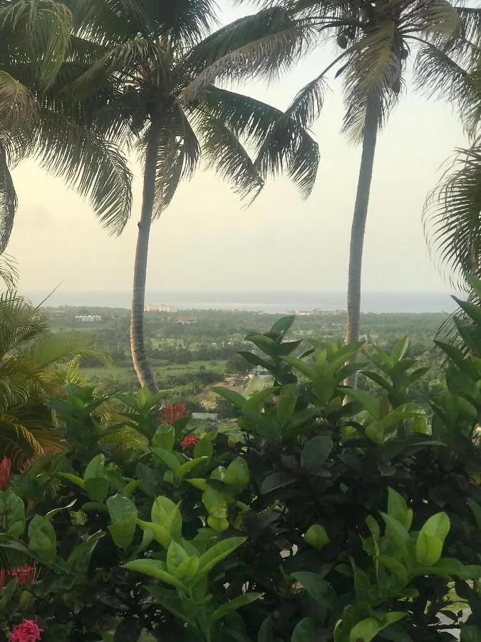 *** Hotel Rainforest And Ocean View Suites - Mountain Lodge Luquillo Puerto Rico